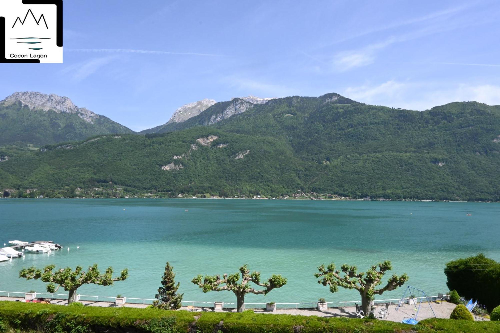 Coconlagon Serenite Au Lac D'Annecy 杜萨尔 外观 照片