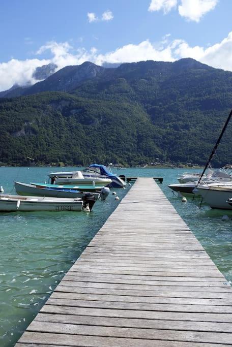 Coconlagon Serenite Au Lac D'Annecy 杜萨尔 外观 照片