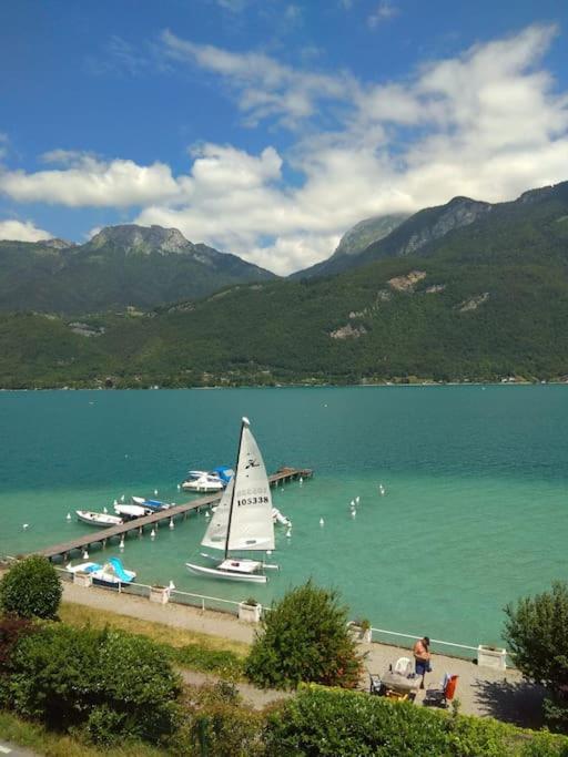 Coconlagon Serenite Au Lac D'Annecy 杜萨尔 外观 照片