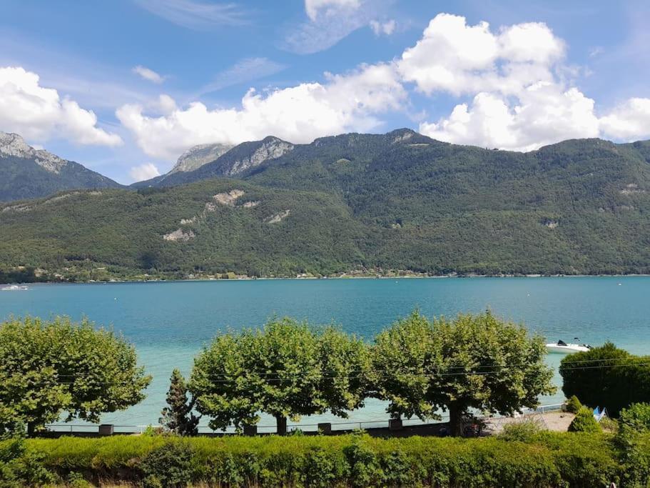 Coconlagon Serenite Au Lac D'Annecy 杜萨尔 外观 照片