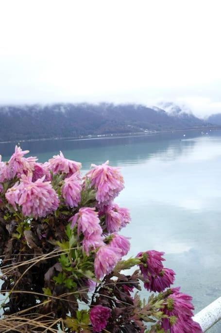 Coconlagon Serenite Au Lac D'Annecy 杜萨尔 外观 照片