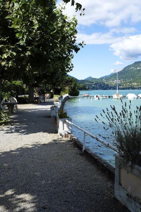 Coconlagon Serenite Au Lac D'Annecy 杜萨尔 外观 照片