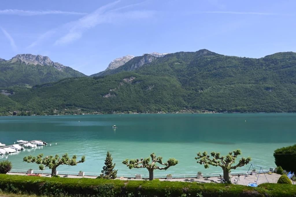 Coconlagon Serenite Au Lac D'Annecy 杜萨尔 外观 照片