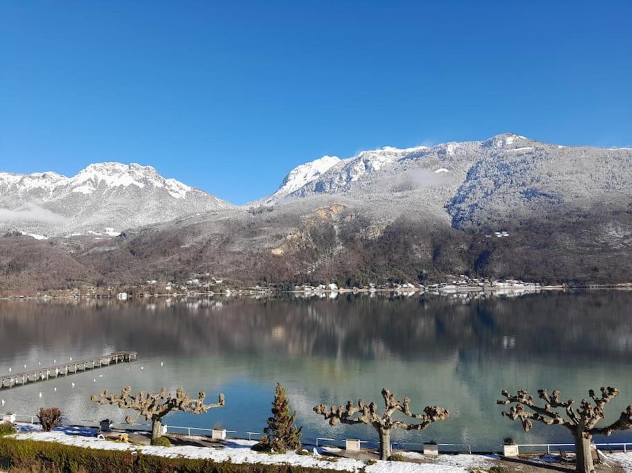 Coconlagon Serenite Au Lac D'Annecy 杜萨尔 外观 照片